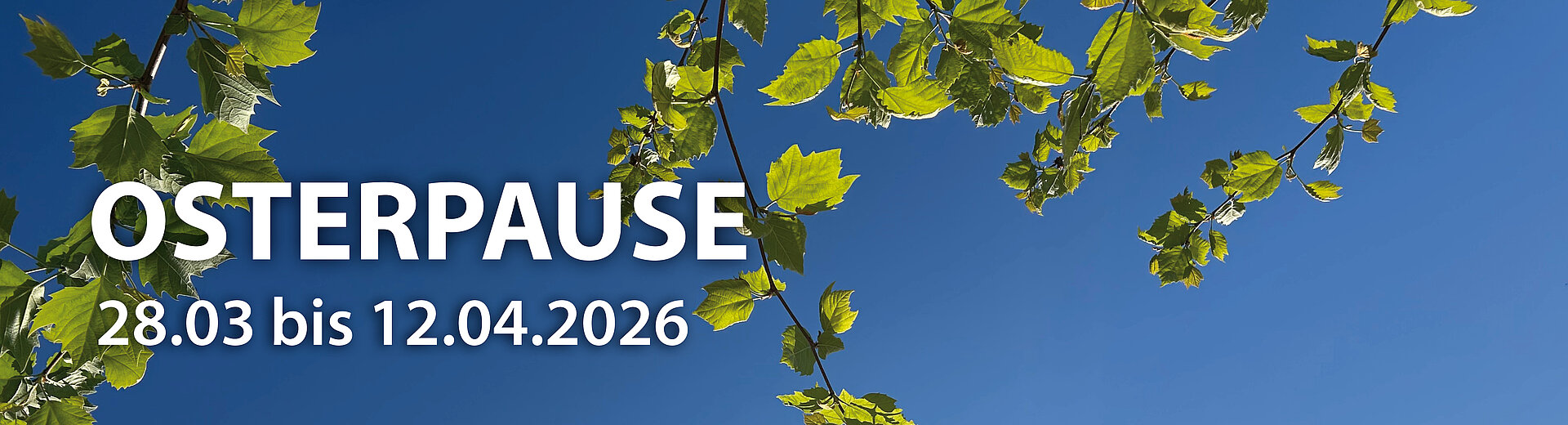 Das Büro der TTW ist vom 28 März bis zum 12 April geschlossen.